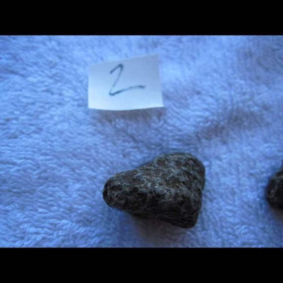 Costa Rican Hot Spring Volcanic Rocks Costa Rica Jungle Volcano Variation Choice - Picture 6 of 16